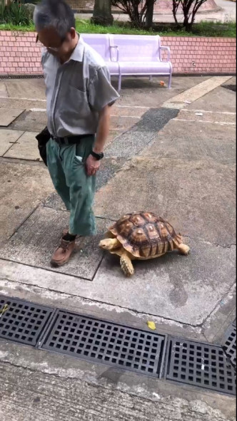 「Tai Po 大埔」图片