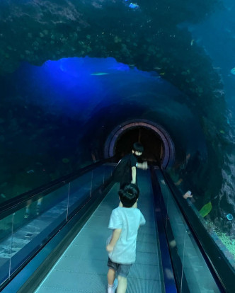 正宗海底隧道。
