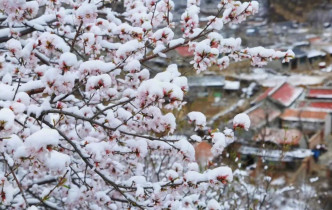 北京出現30年一遇暴雪。網上圖片