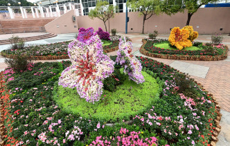 九龍公園的主題花花圃，展出多個特別品種的杜鵑花，更有七個超過1.5米高的大型立體杜鵑花造型展品。 政府提供