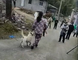 浙江温州某村下令全村屠狗。网上图片