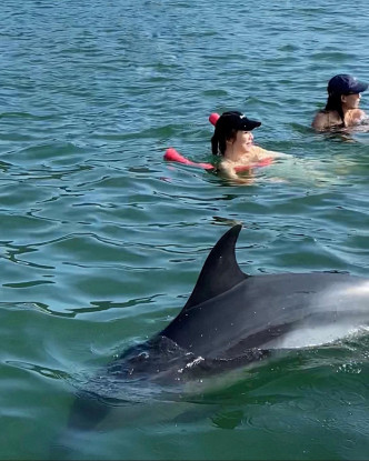 本月初JW跟友人出海游水，其間巧遇一隻海豚擦身而過，非常幸運！