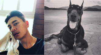 黄宗泽是个爱狗之人，去年他贴上已去世的爱犬相片作怀念。