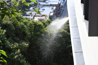 消防員開喉射水，將蜂巢沖散。