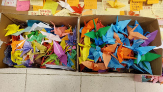 科大同学放下两箱纸鹤。欧阳伟光摄