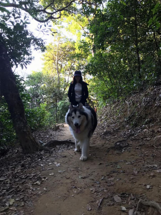 朱婉祯不时上载狗狗图片。