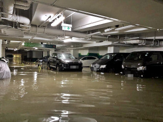 嘉悅停車場嚴重水浸。