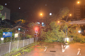 受榻树影响，伊利沙伯医院路落斜不能左转入加士居道。