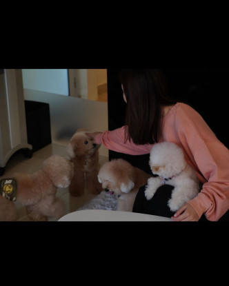 蔡卓妍經常在社交網分享與愛犬的生活點滴。