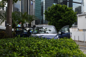 整個架車擱在花槽內。楊永亨攝