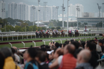 九巴今日除維持原有的872線外，亦新推出872X號巴士線，接載馬迷到大埔中心總站。