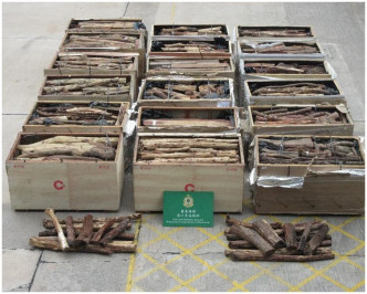 海关检获的怀疑黄檀木材。图：政府新闻处