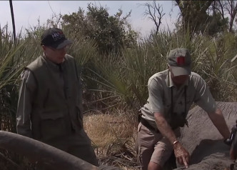 拉皮埃尔检视中枪倒下的大象。影片截图