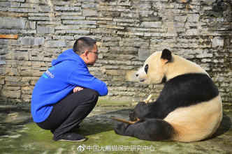 中國大熊貓保護研究中心圖片