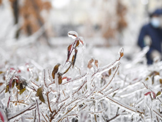 长春下雪情况。新华社图片