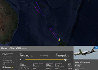 客机中途折返纽西兰。网上图片