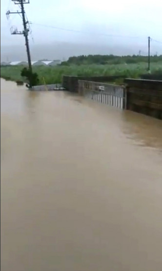 沖繩有馬路變成河流。網上圖片