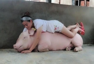肖芳：「猪好像没有想像中可怕，虽然脏了点，但它们也很可爱。」（网图）