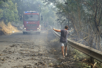 民众自行清理灾后的树木残枝。美联社图片