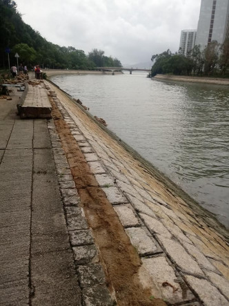林村河水位一度暴涨， 河堤被冲烂遍地石头。Yan Chan图片