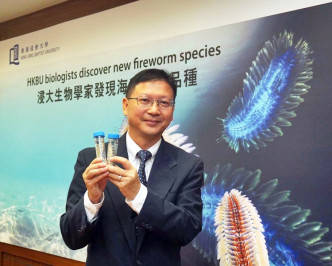 透過基因排序和形態學，邱建文確認在香港海域爆發的海毛蟲為「梯斑海毛蟲」。