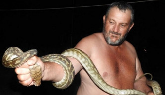 父親成功解決了蟒蛇。網上圖片