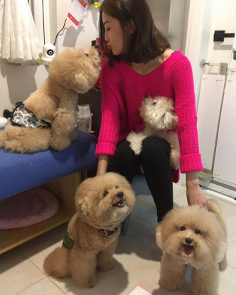蔡卓妍视狗狗如家人般照顾。