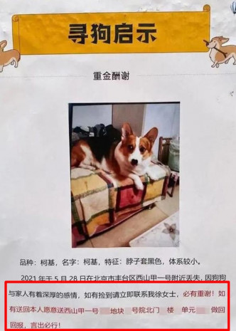 徐女士發出的啟事提到成功尋狗將獲贈單位(紅框)，她解釋原意是「重謝」。網圖