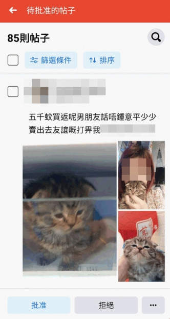 一名港女疑虐待幼猫。天下猫猫临时群组FB图片