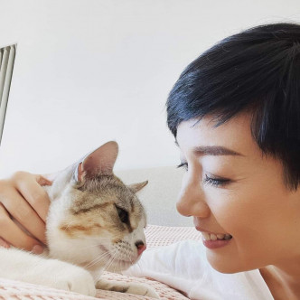单身江美仪将情感投放喺小动物身上，领养嘅猫猫刚一岁生日。