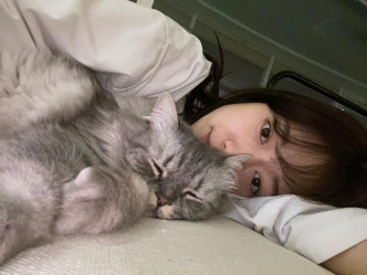 朴信惠爱猫。