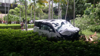 七人車衝下草坪撞毀多棵大樹。