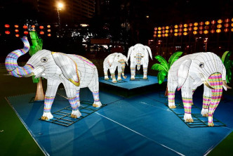 于维园展出的象群灯饰。 政府图片