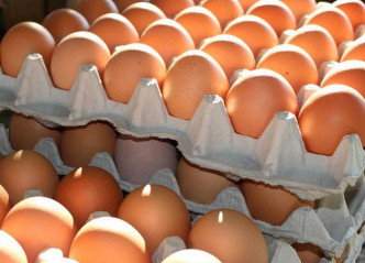 國際非牟利動物保護組織「Lever槓桿」調查後發現，本港7成超市售賣「籠屋雞蛋」。示意圖
