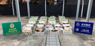 人員撿獲26箱走私貨物，包括龍蝦及懷疑受管制龍吐珠魚苗，市值共約29萬港元。警方圖片