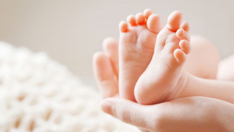 法國當局就畸嬰率偏高問題展開全國調查。資料圖片