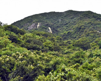 直幡掛於龍駒道對上山坡。