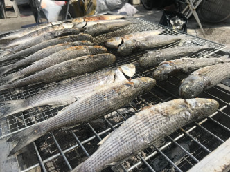 市民在地享受大生圍魚塘美景與生物多樣性