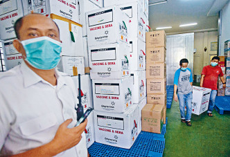 印尼棉蘭市工人搬動載有疫苗的箱子。