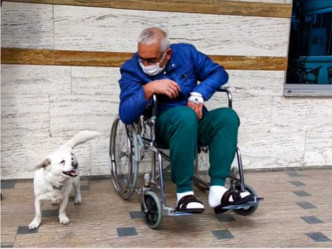 終等到主人出院狗狗欣喜若狂。網圖