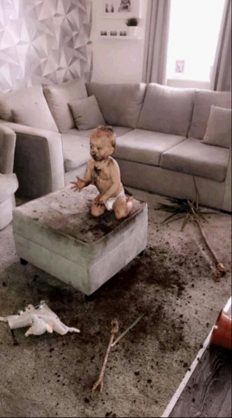 Jaxon 搗蛋罪證：沙發全被弄髒。網上圖片