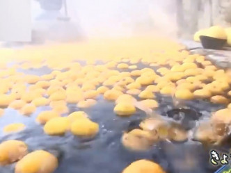 2020個柚子的溫泉。影片截圖