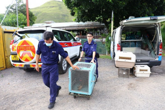 愛護動物協會帶走動物。讀者提供圖片