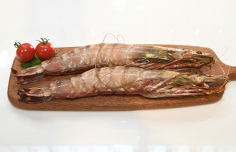 馬來西亞虎蝦 $480/5隻
有手臂般長的珍寶虎蝦，來自馬來西亞深海水域，肉質彈牙鮮美。
