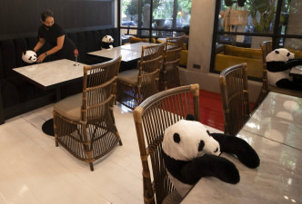 泰国曼谷有餐厅利用熊猫公仔陪伴客人用餐。AP图片