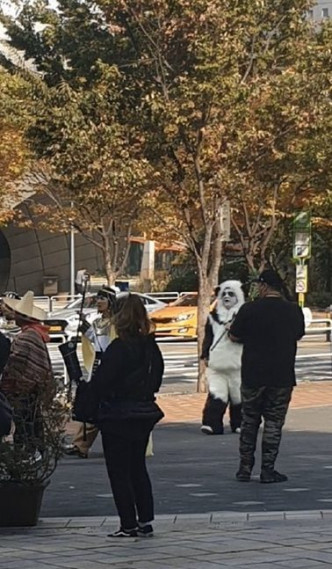 姜虎东扮熊猫。（网图）
