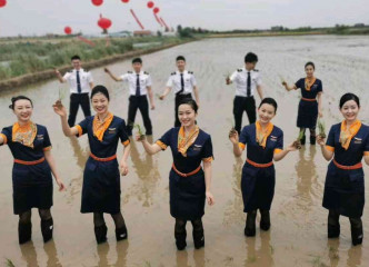 網上流傳空姐空少，穿著制服在水田裡插秧。網上圖片