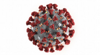 新冠病毒模型圖。 網圖