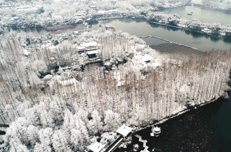 杭州西湖白雪紛飛。網上圖片