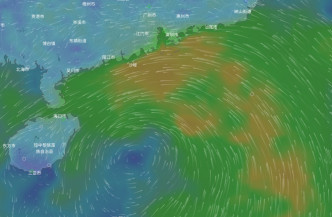 歐洲預報一個低壓區趨向海南島。網上圖片